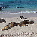 Los geht′s Los geht′s