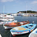 Los geht′s Los geht′s